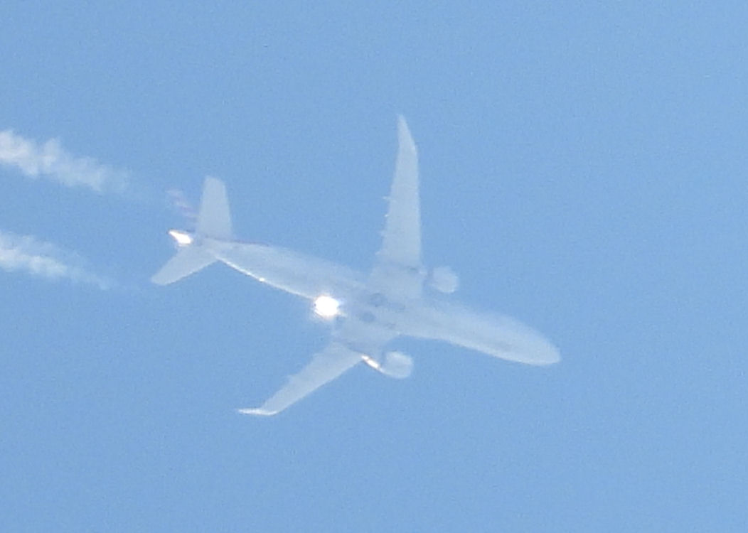 DSCN8793.JPG