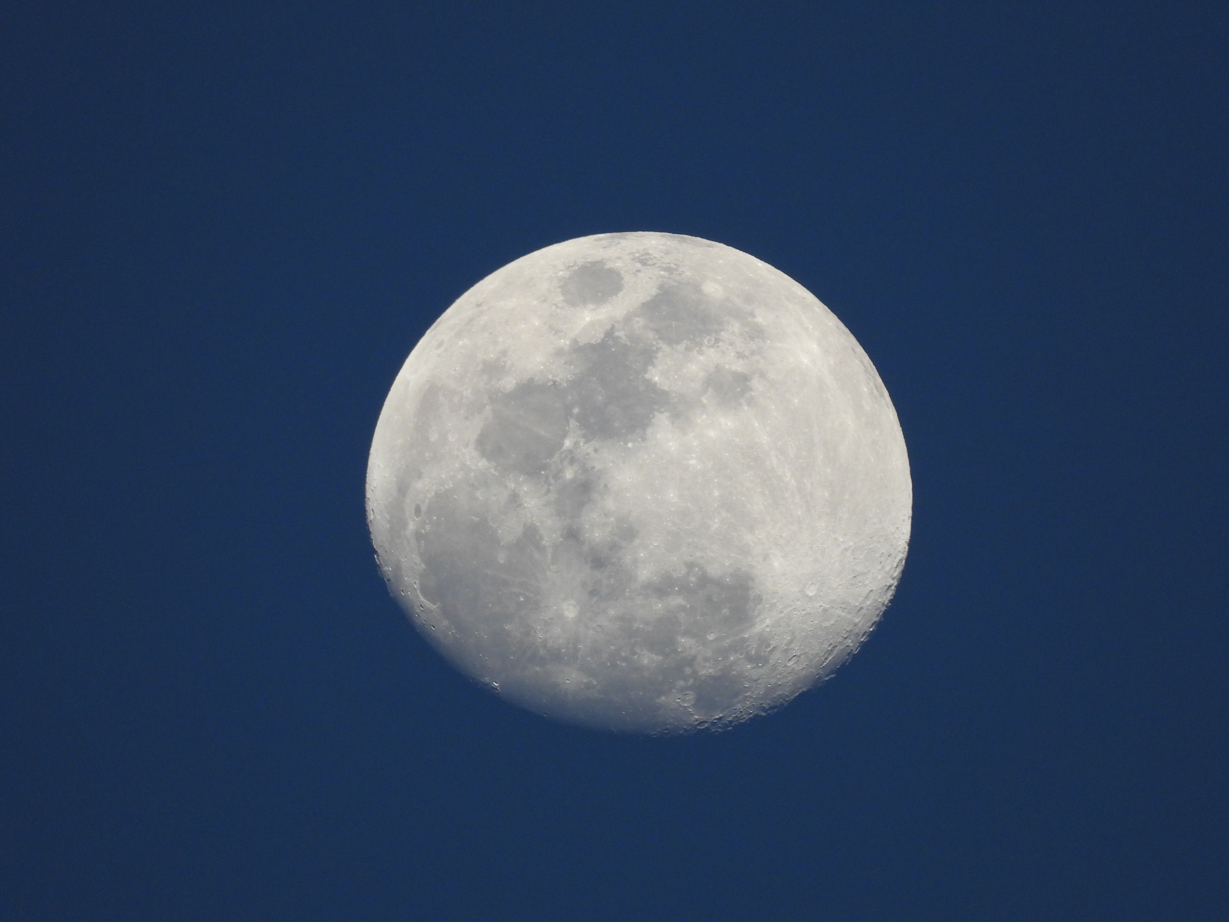 DSCN8916+.jpg