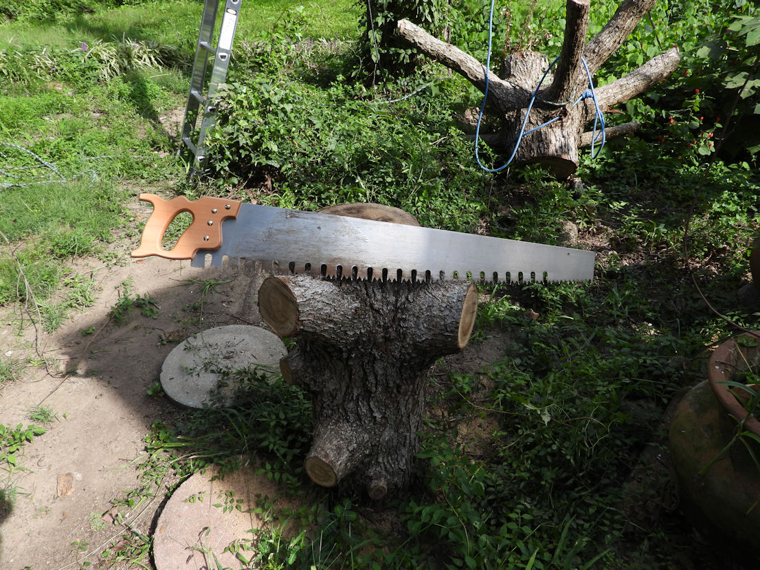 DSCN9376.JPG