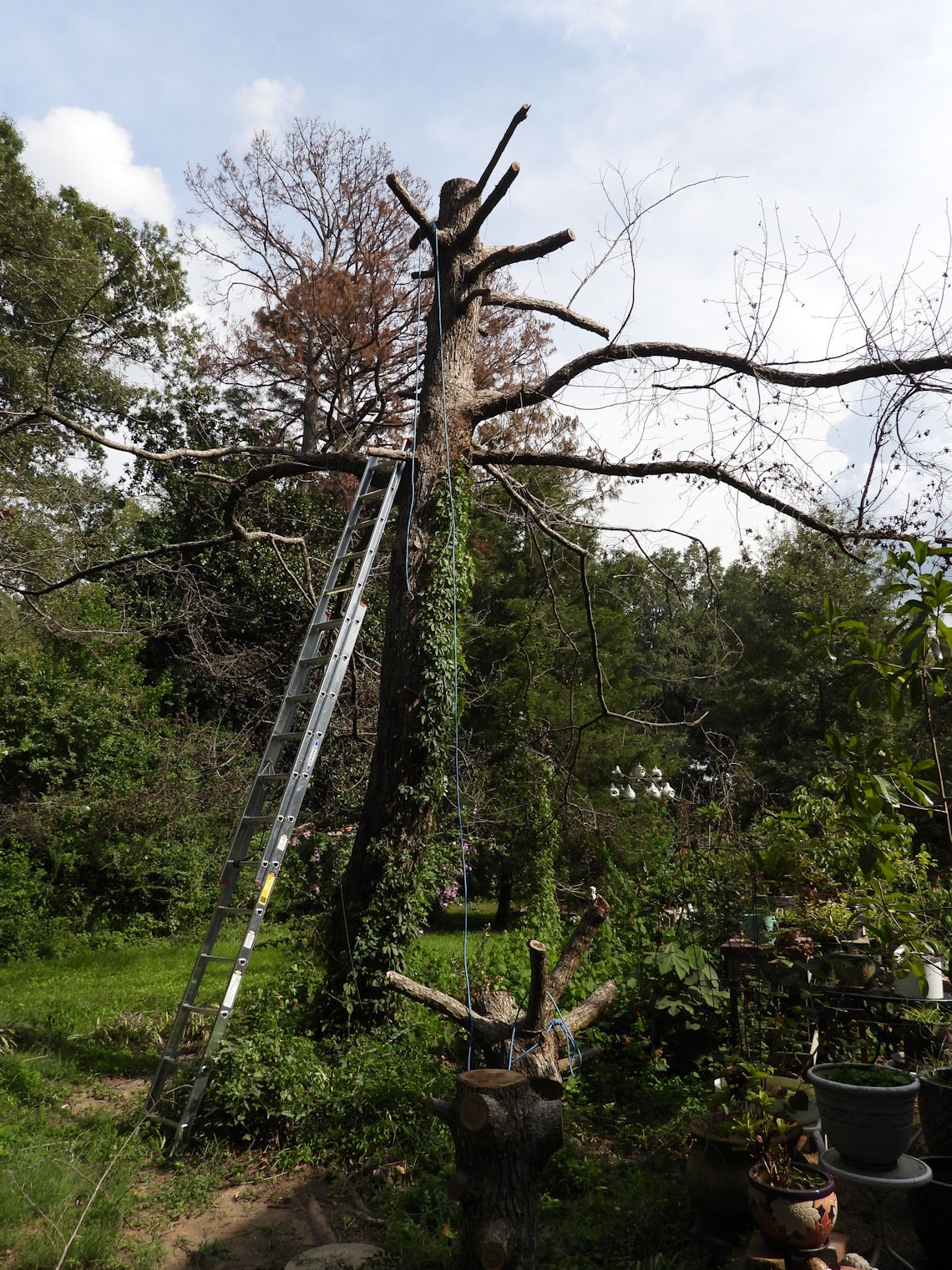 DSCN9378.JPG