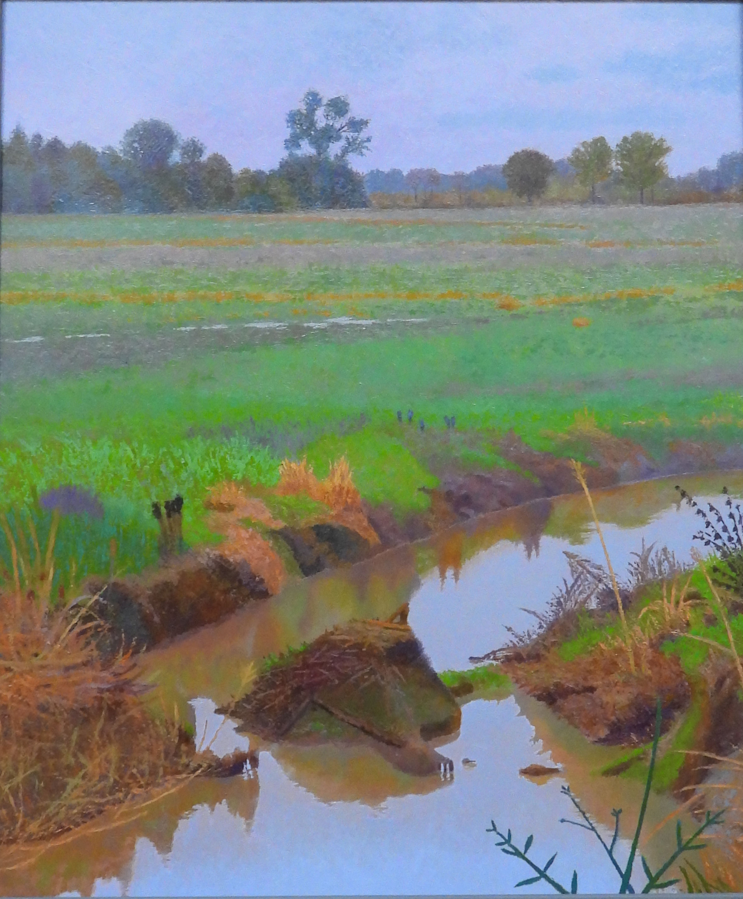 DSCN9831+++.jpg