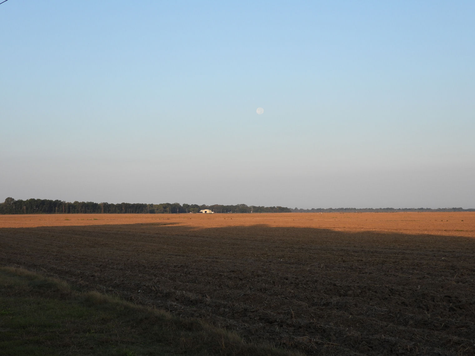 DSCN9908+.jpg