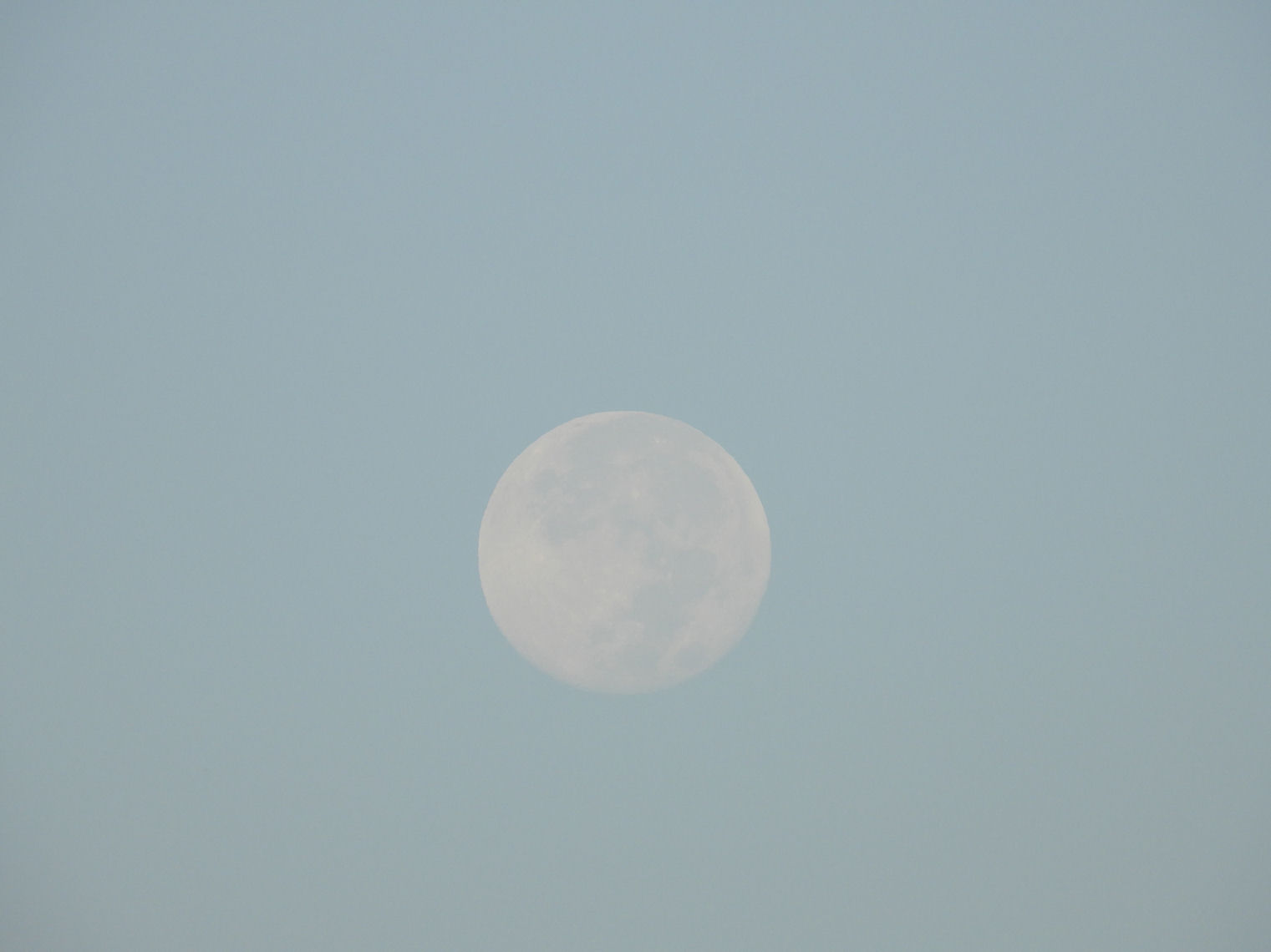 DSCN9911+.jpg
