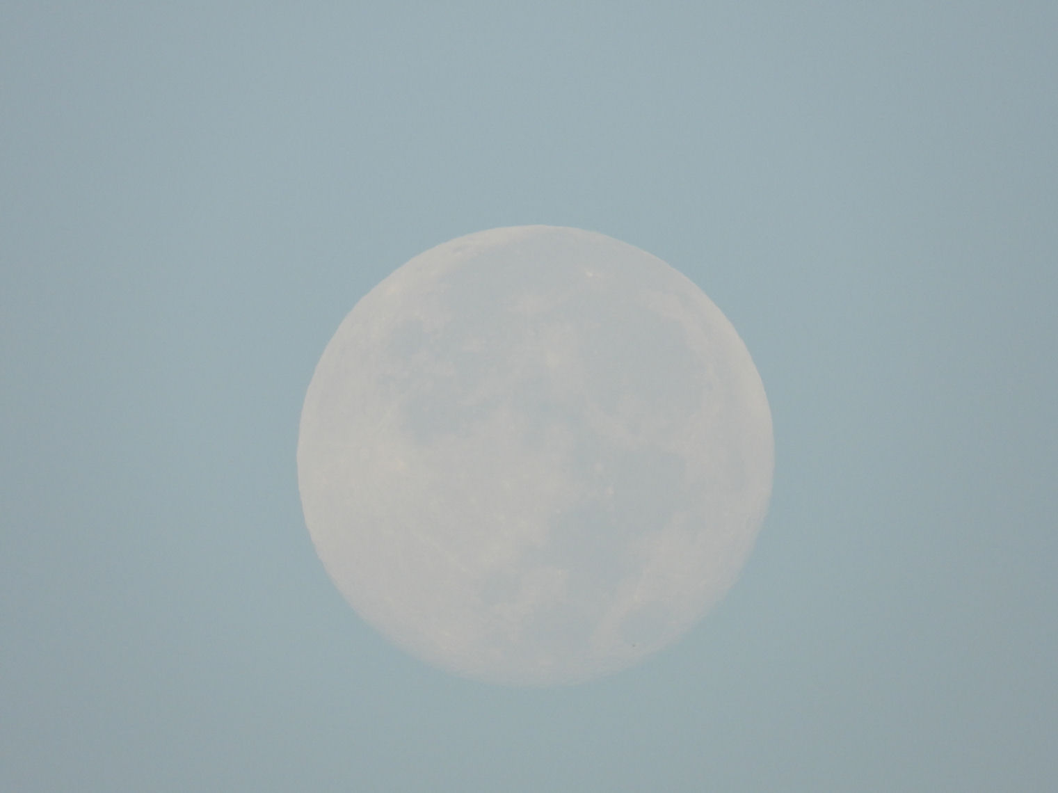 DSCN9915+.jpg