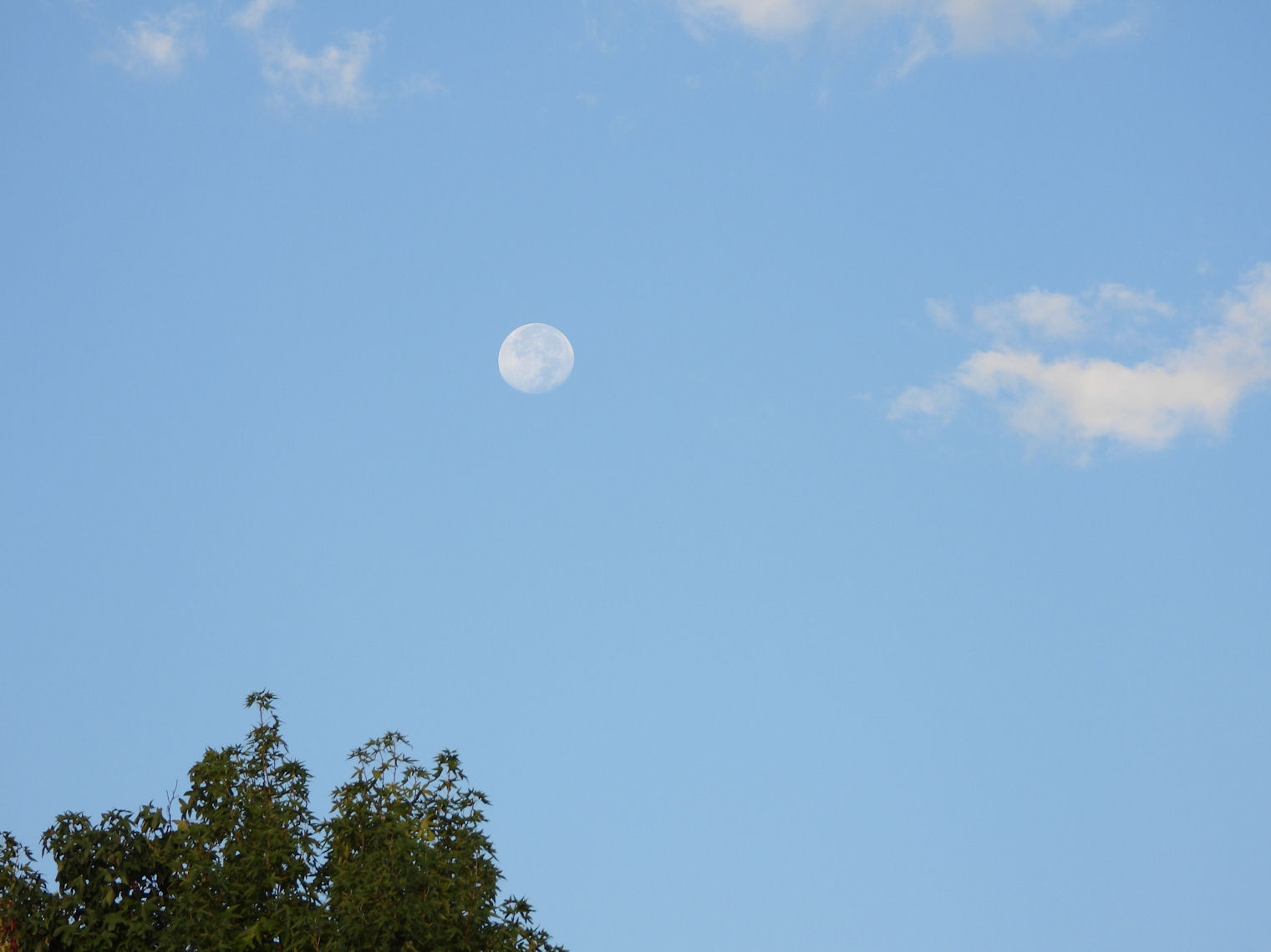 DSCN9929+.jpg
