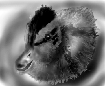 duckygrayresamp.PNG
