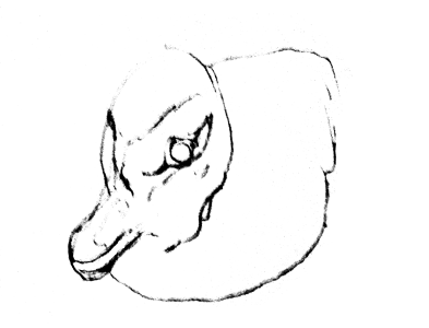 duckygresamp.png