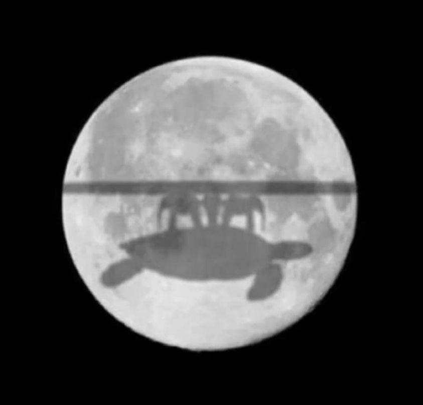 eclipse.jpg