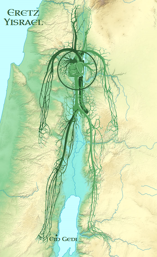 Ein-Gedi.png