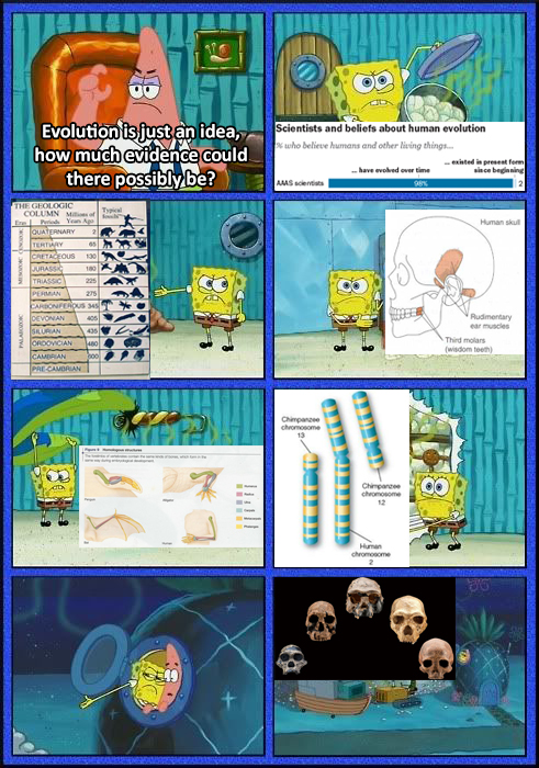 Evo.jpg