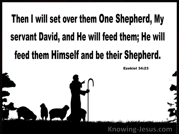 Ezekiel 34-23  He WIll Set Over Them One Shepherd white.jpg