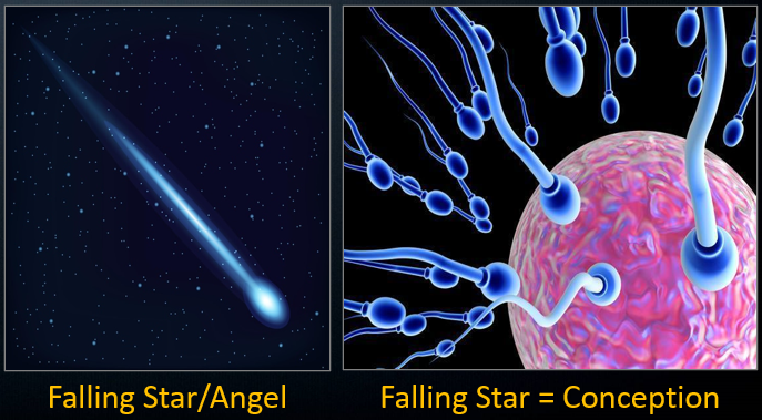 Falling Stars.png
