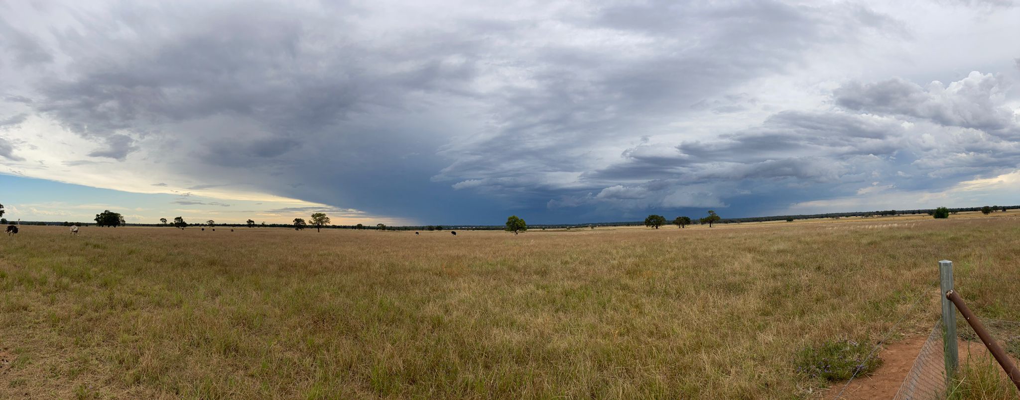 Farm 2 Panorama.jpeg
