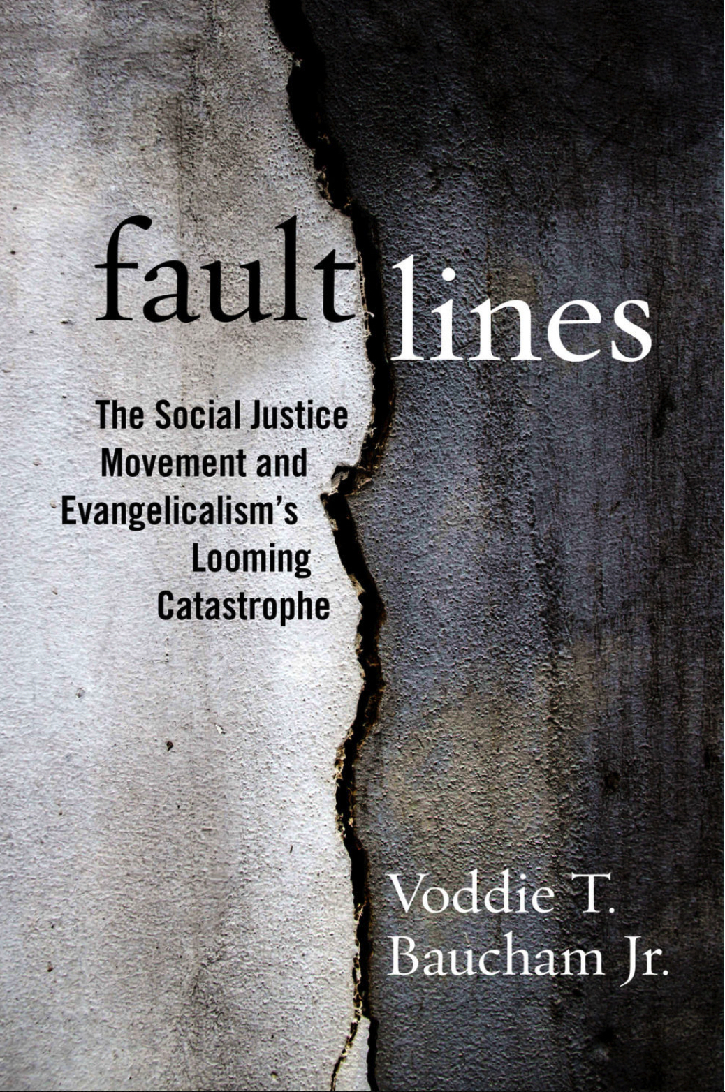 Fault Lines.jpg