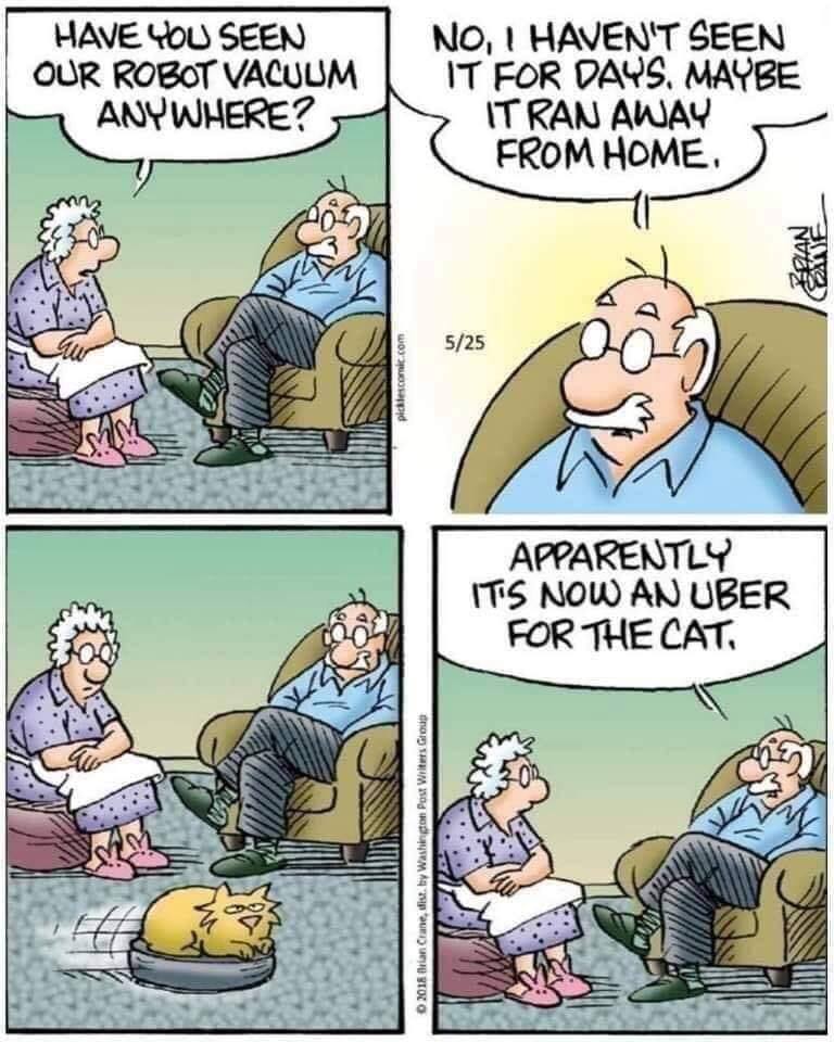FelineUber.jpg