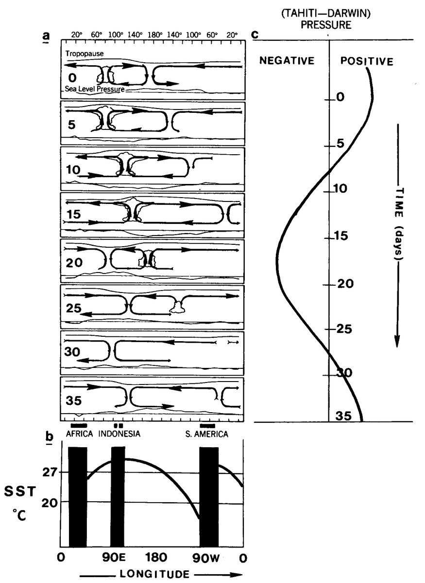 Fig24.png
