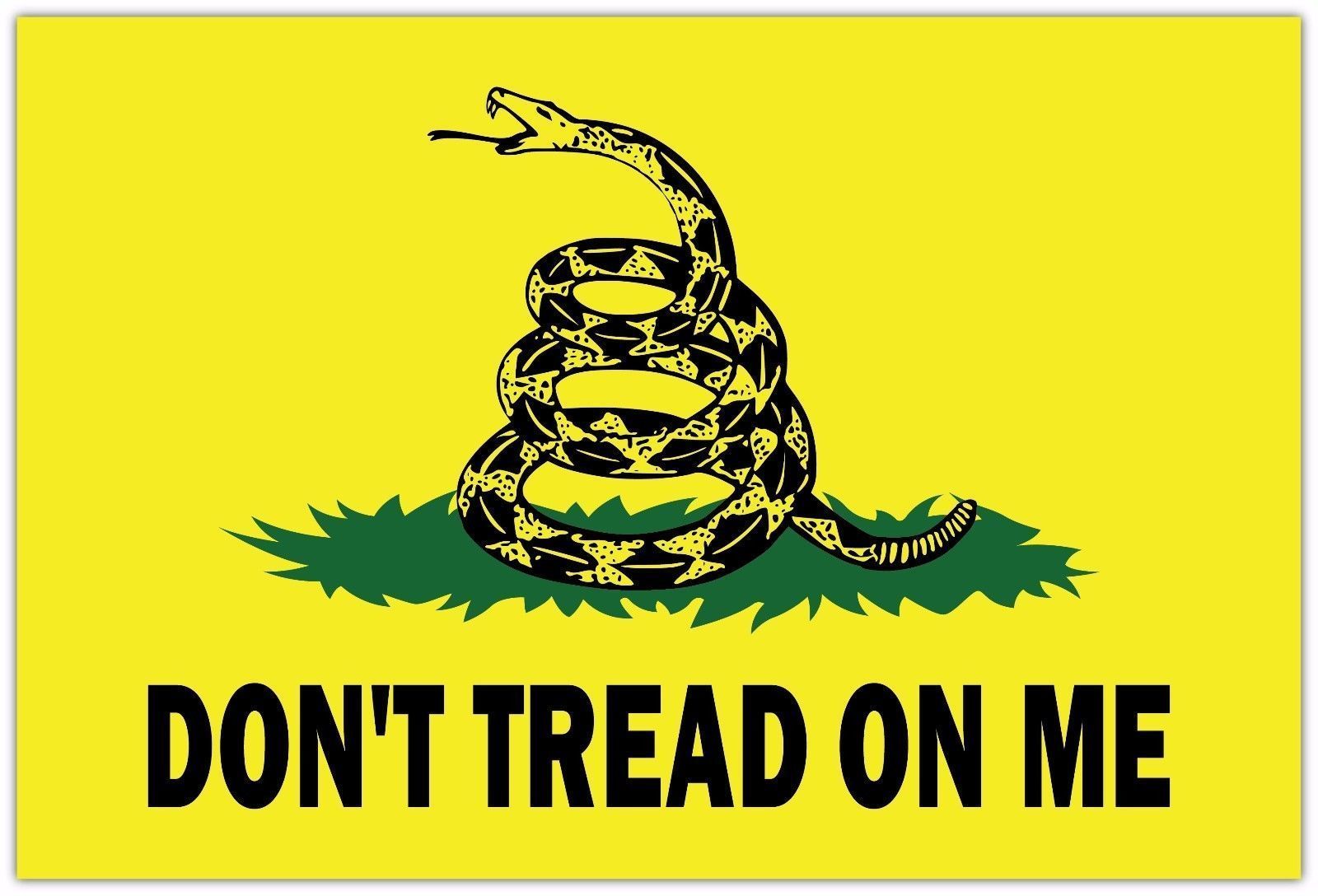 flag 1.jpg