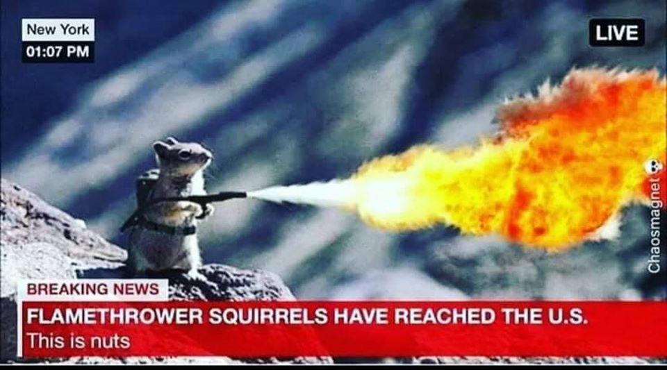 flamethrower squirrels.jpg