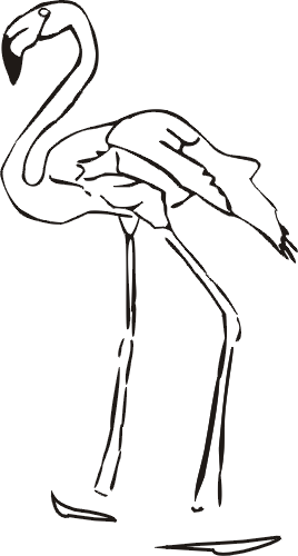flamingo.PNG
