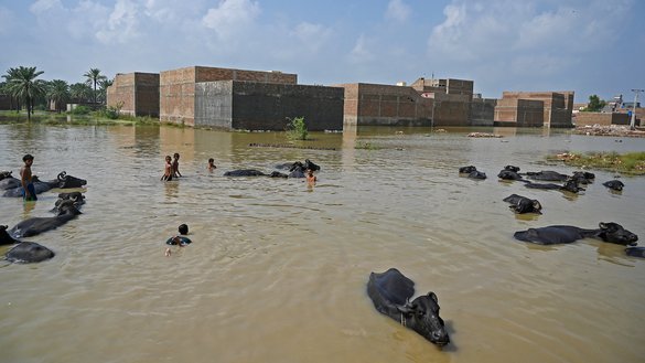 flood7.jpg