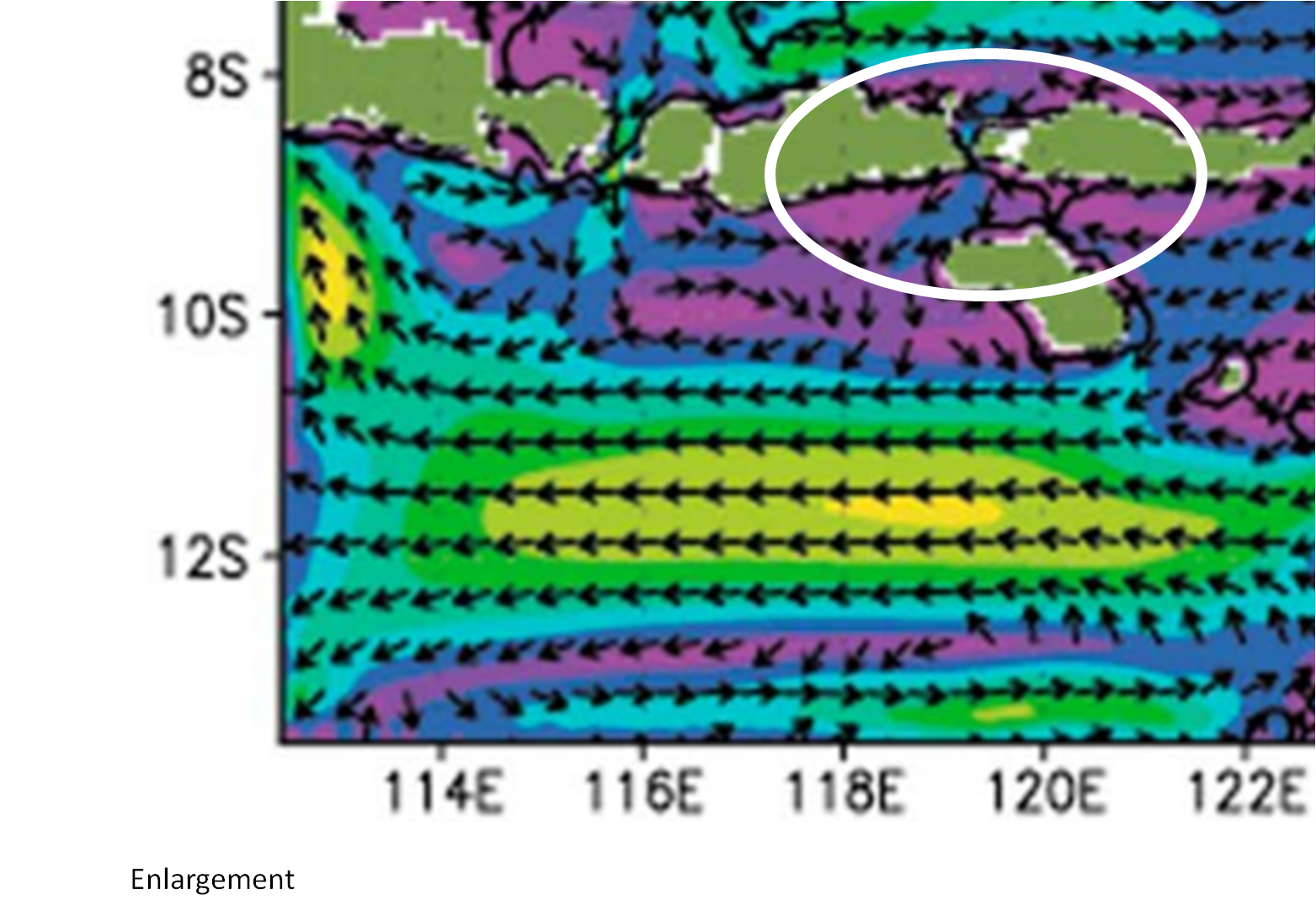 Flores enlargement.png