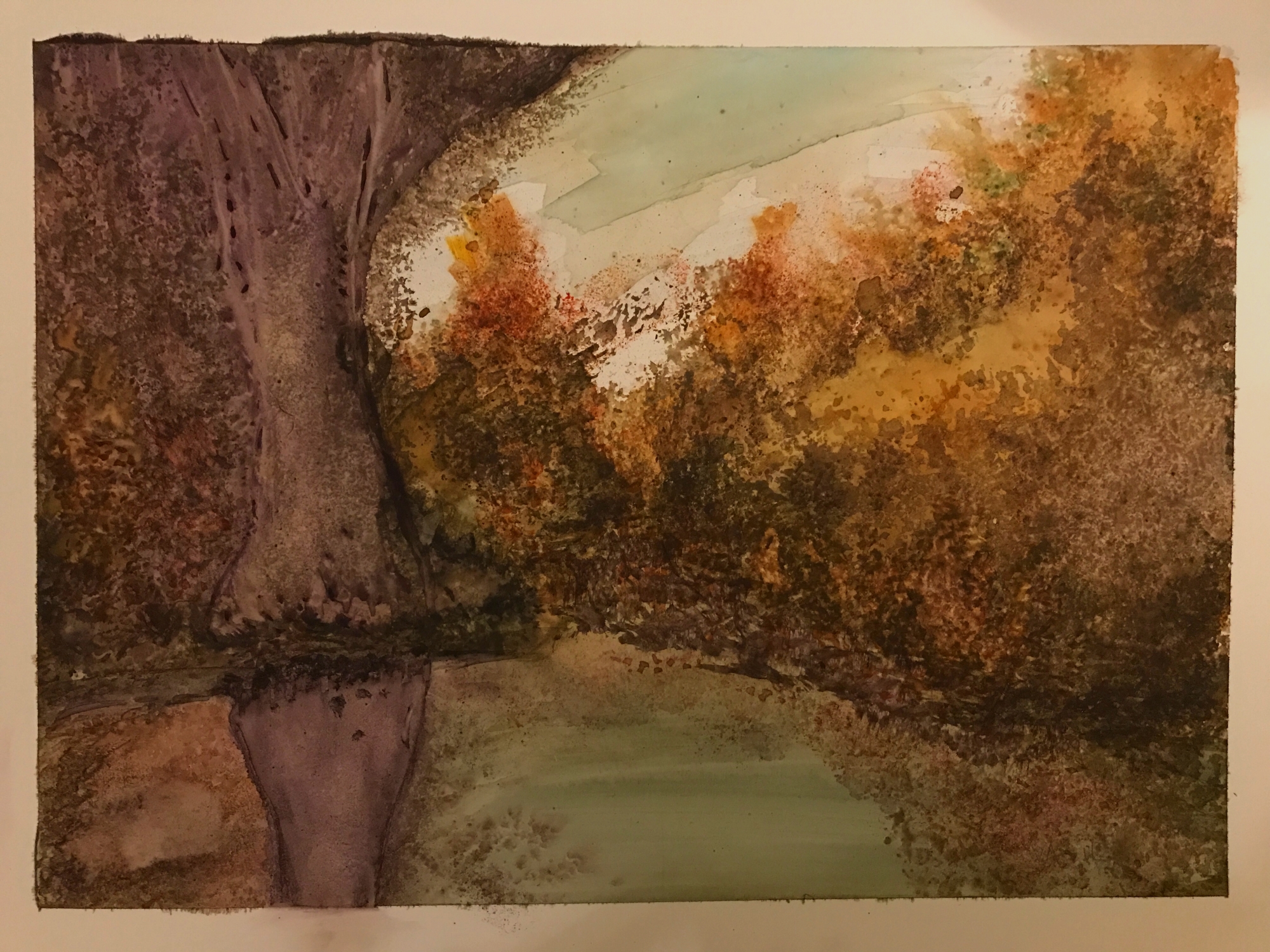 forest (1).jpg