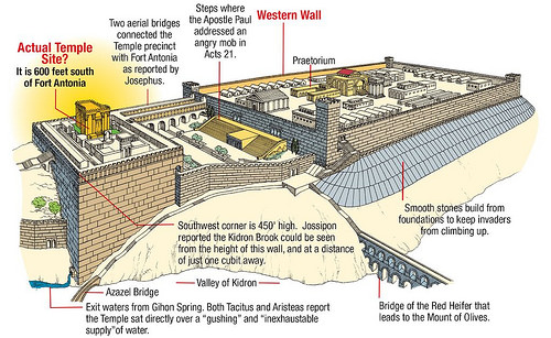 fort antonia and temple.jpg