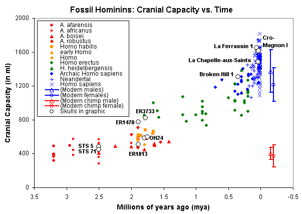 Fossil_homs_cranial_capacity_vs_time_0[1].png