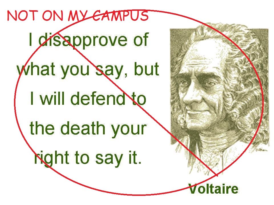 Freedom-of-Speech-freedom-of-speech-19188411-960-720.jpg