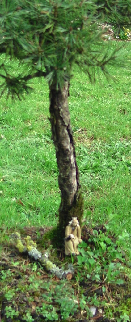 garden4-3c.JPG