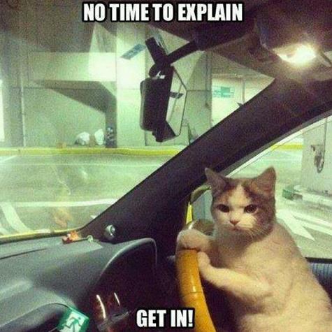 get in.jpg