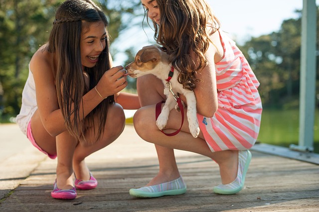 girls-dog.jpg