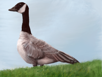 goose adjust small.png