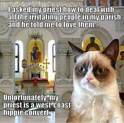 Grumpy cat.png