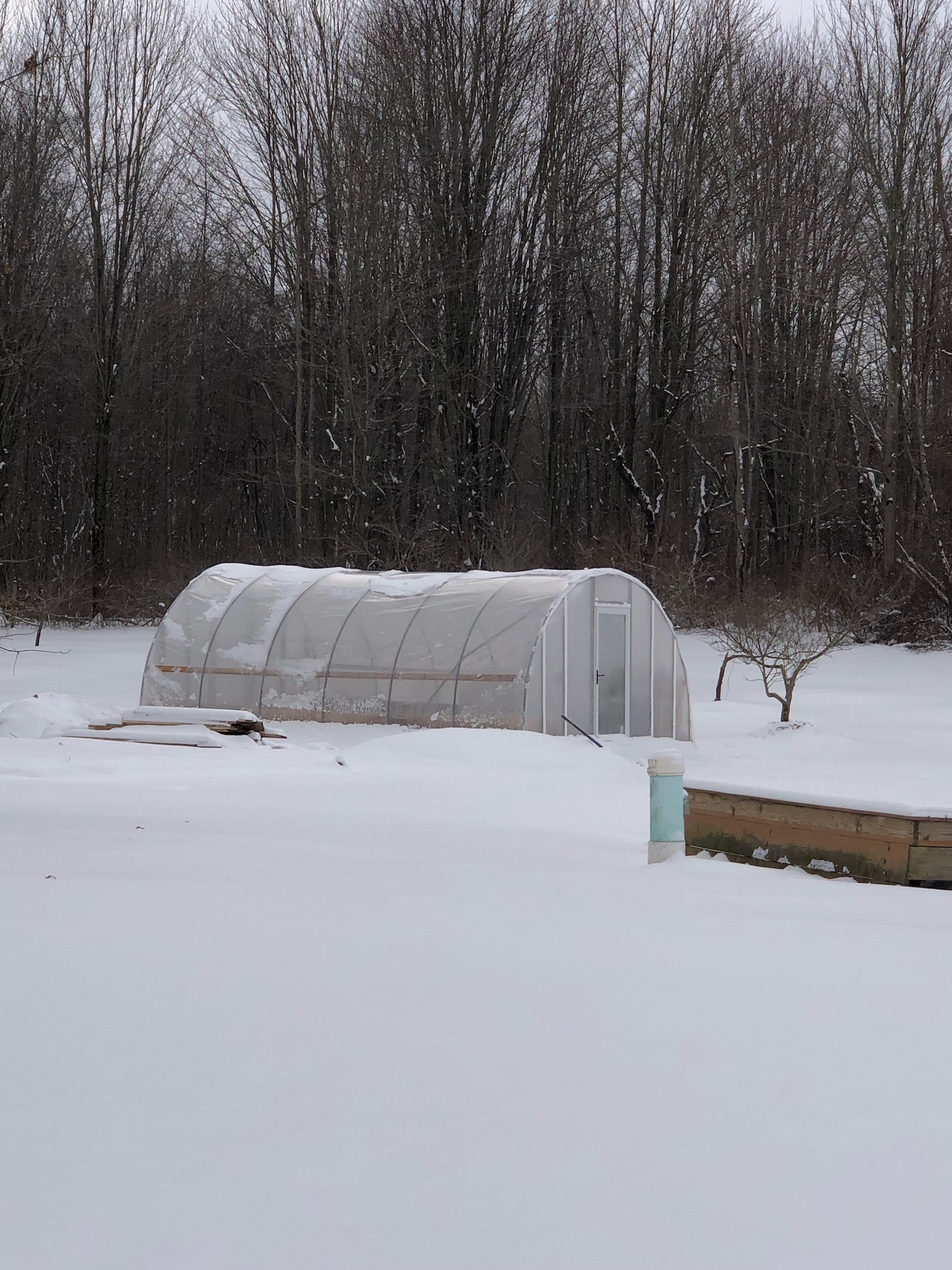 Hopefully Our last Snow.jpeg