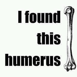 Humerus.jpg