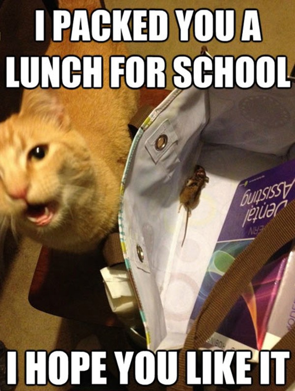 image.jpeg