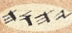 imageedit_14_6897957287.png