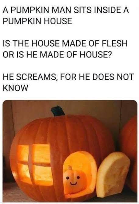 images (1) (10).jpeg