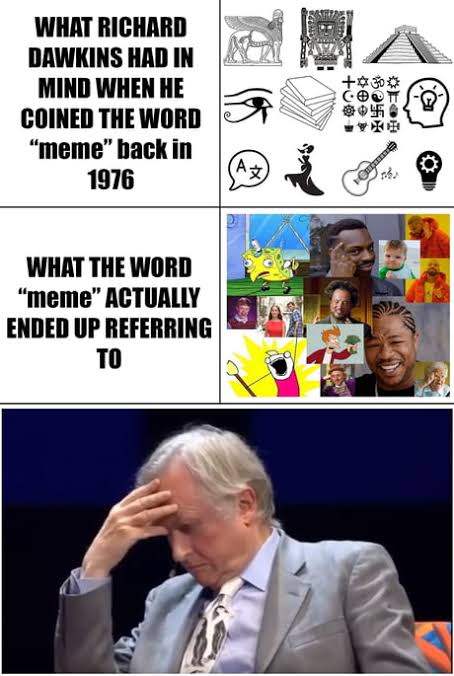 images (1) (25).jpeg