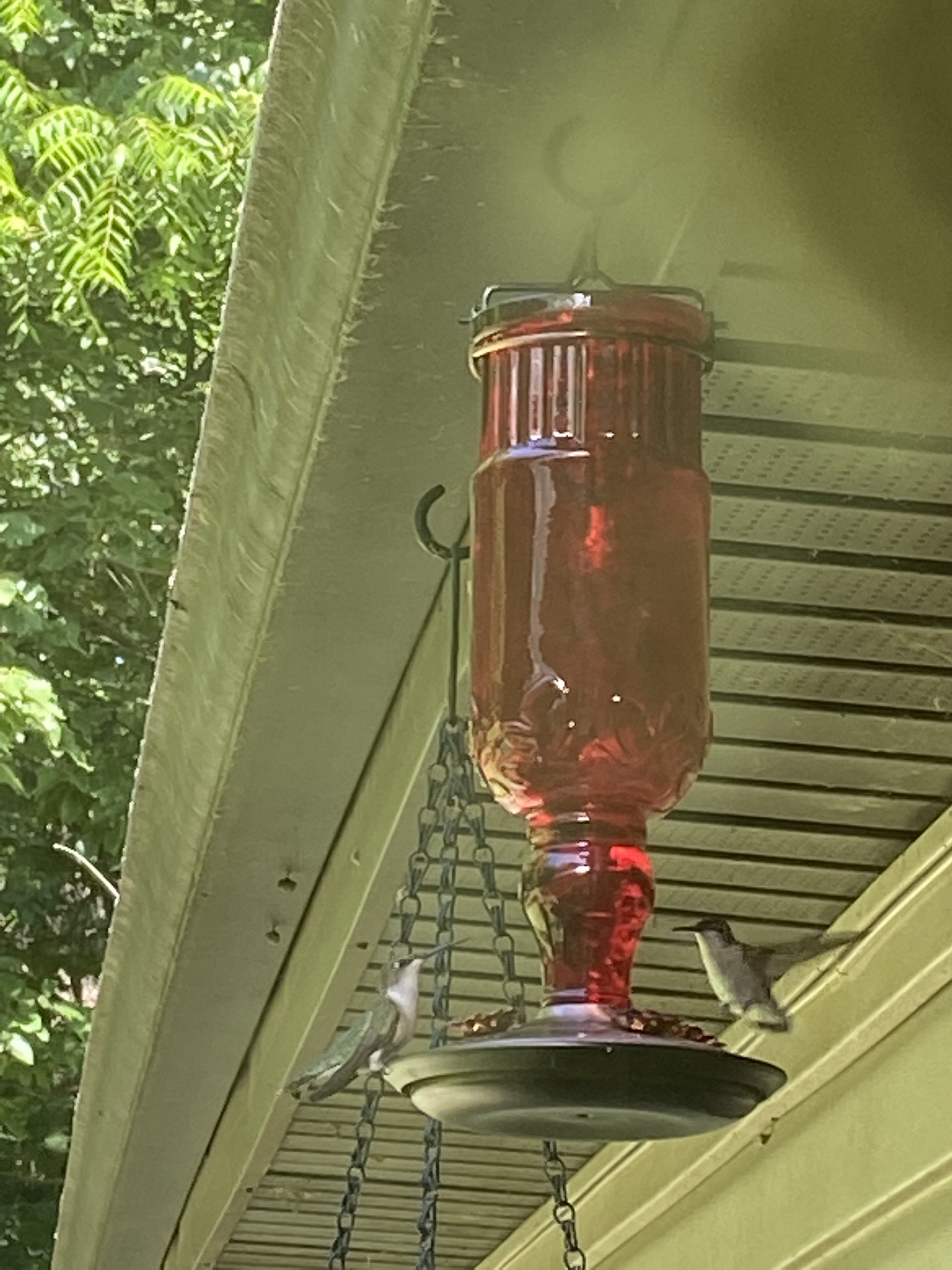 IMG_0959.jpeg