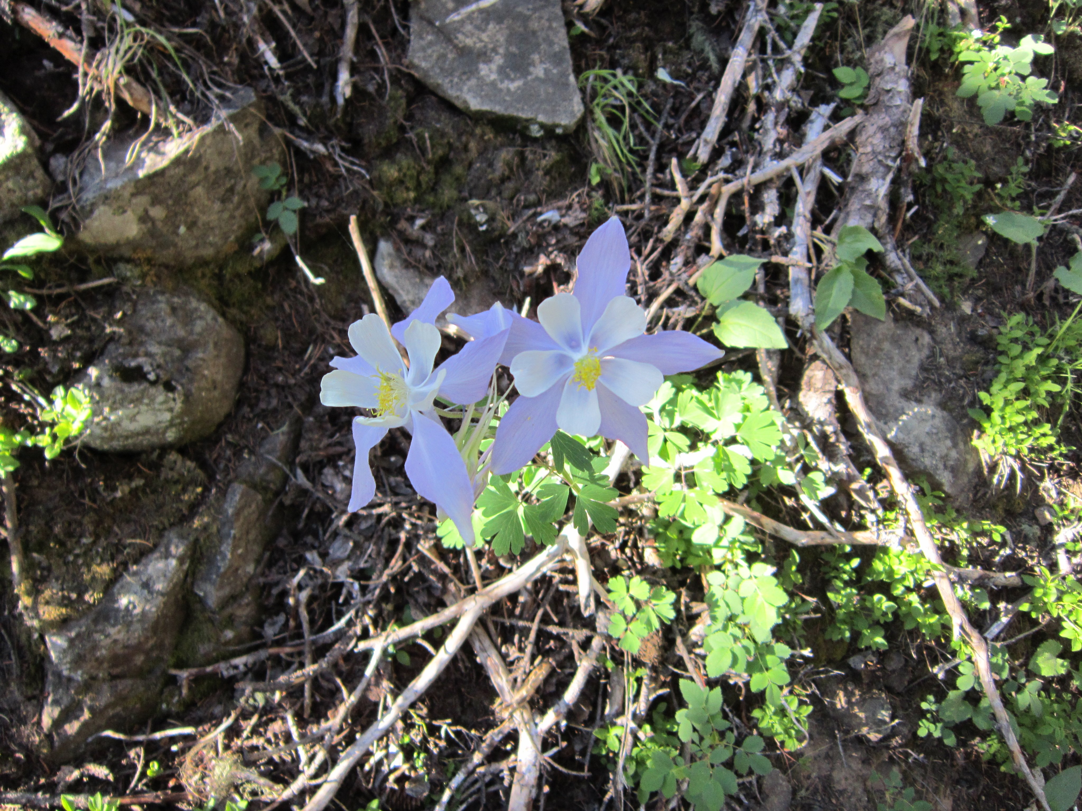 IMG_1821.JPG