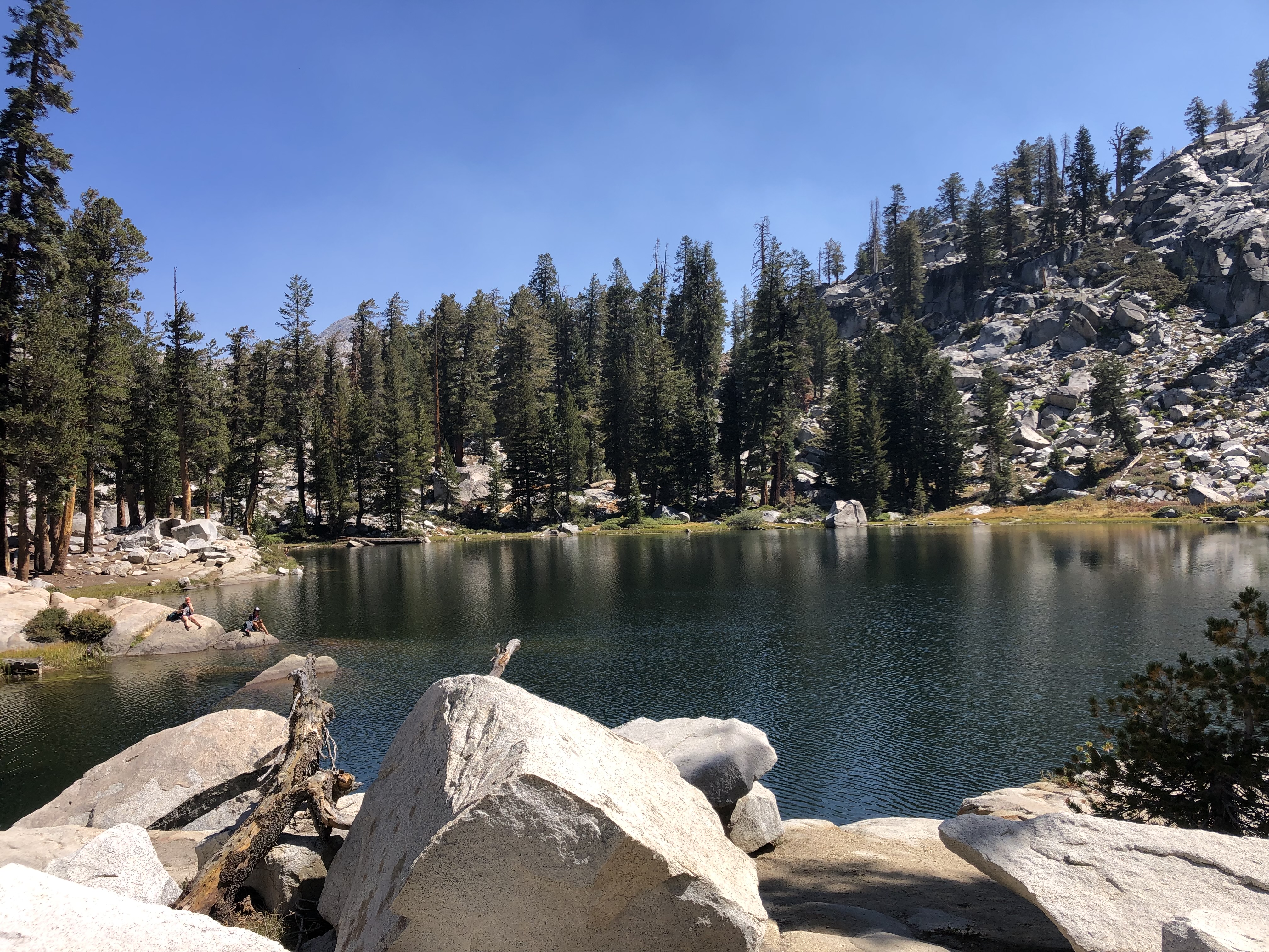 IMG_2059.jpeg