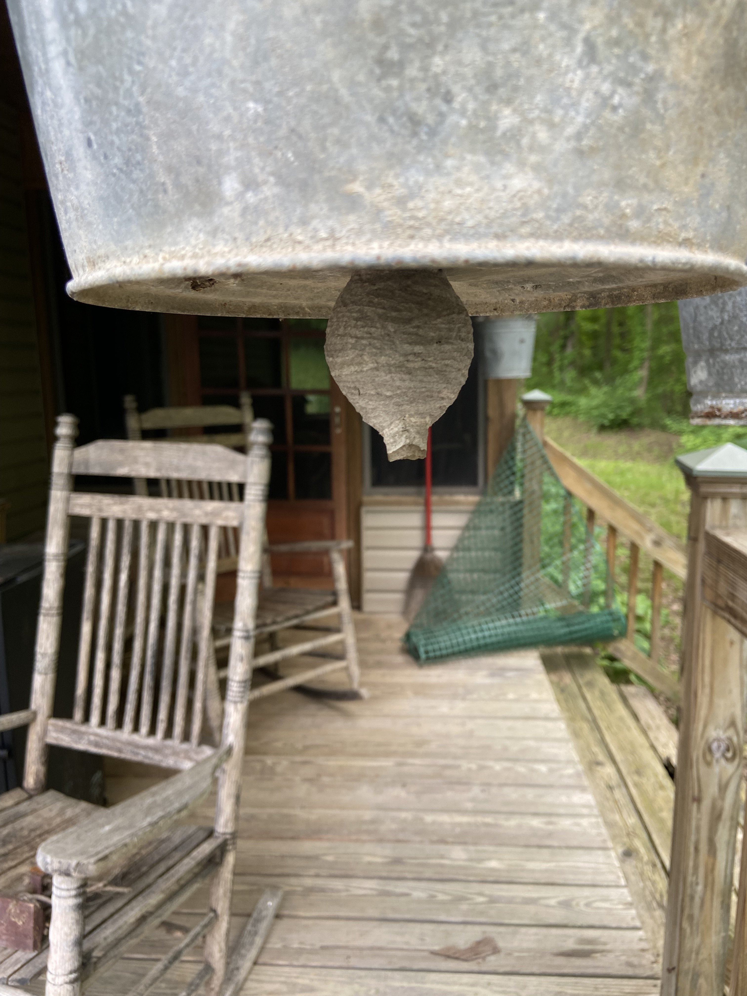 IMG_3067.jpeg