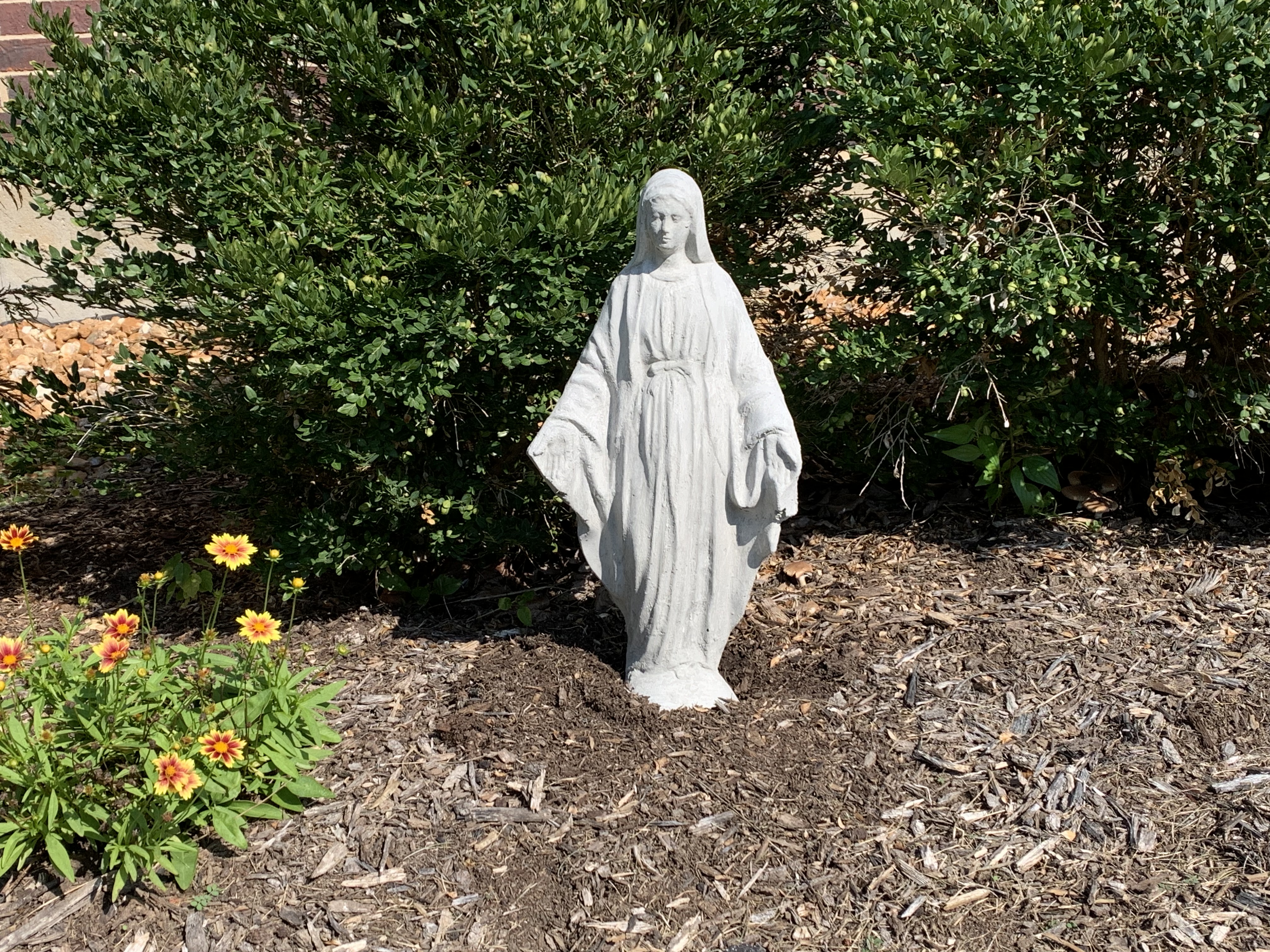 IMG_6701.jpeg