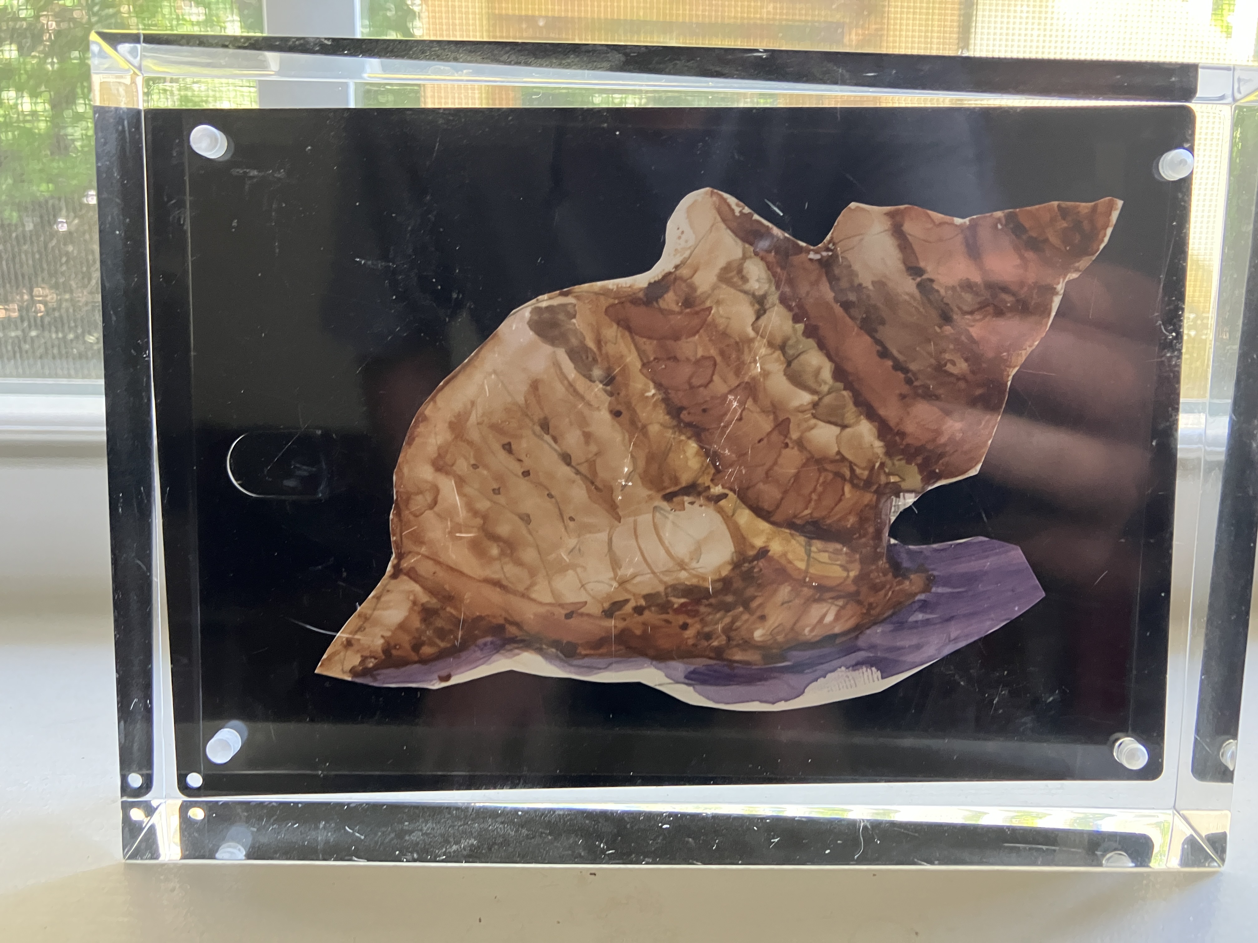 IMG_9027.jpeg