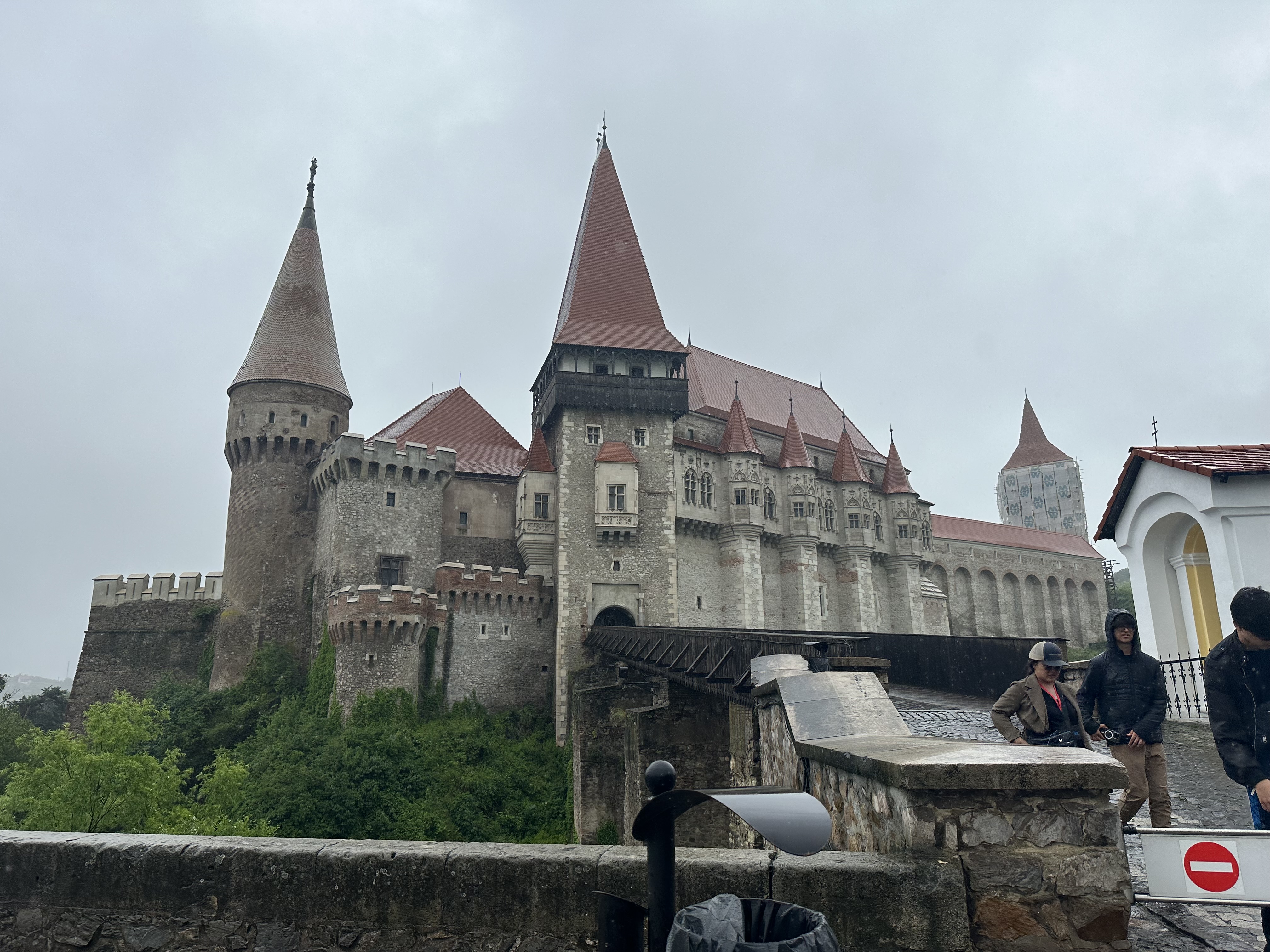 IMG_9586.jpeg