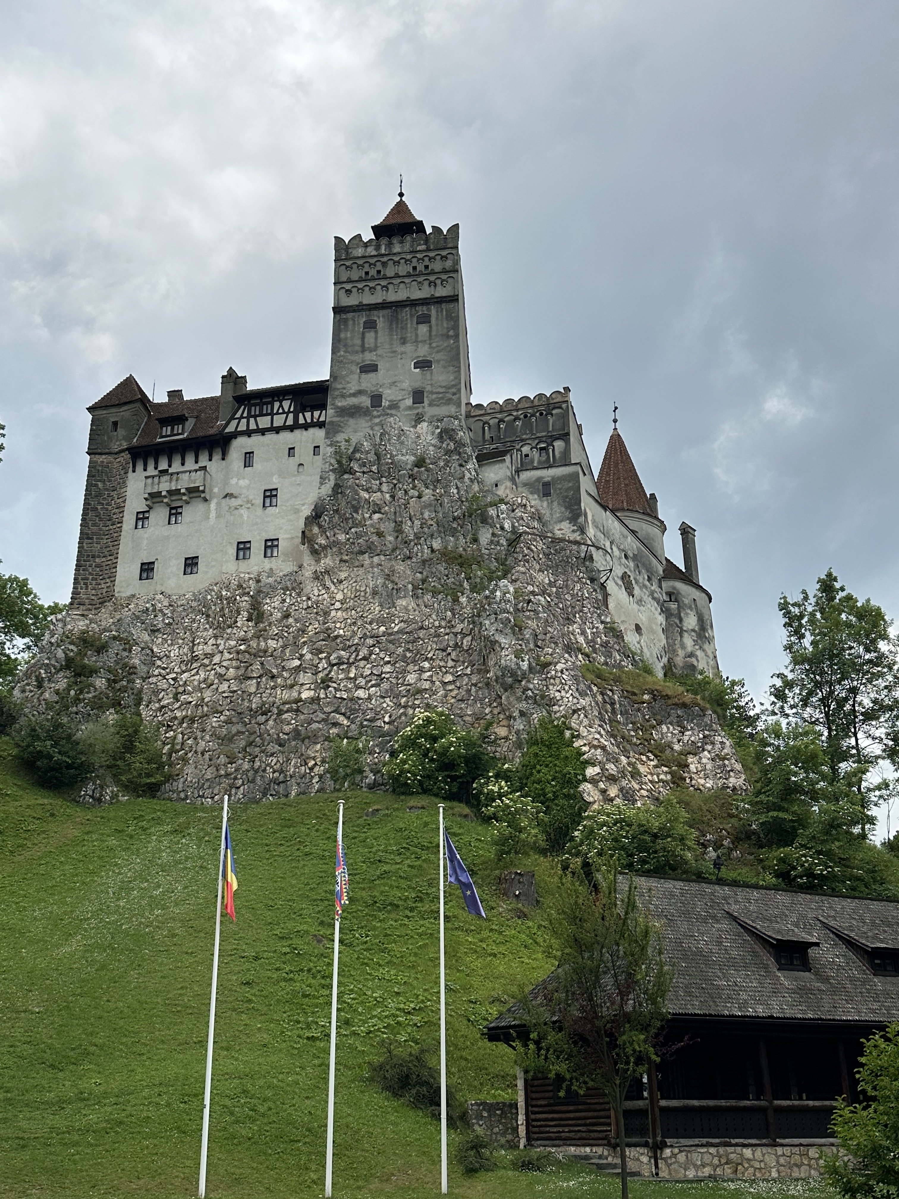 IMG_9770.jpeg