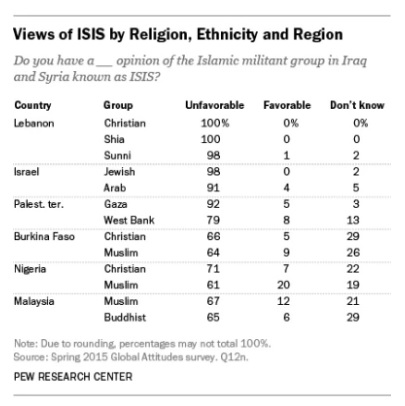 isis support2.jpg