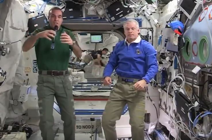ISS Harness.JPG